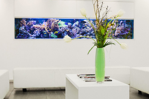 Wartebereich Kieferorthopäde Sindelfingen