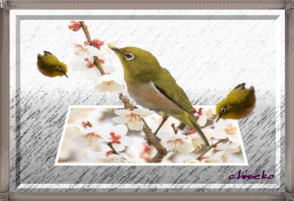 Photofiltre Pcart Chiseko ページ Photofiltre Pcart Chiseko ページ