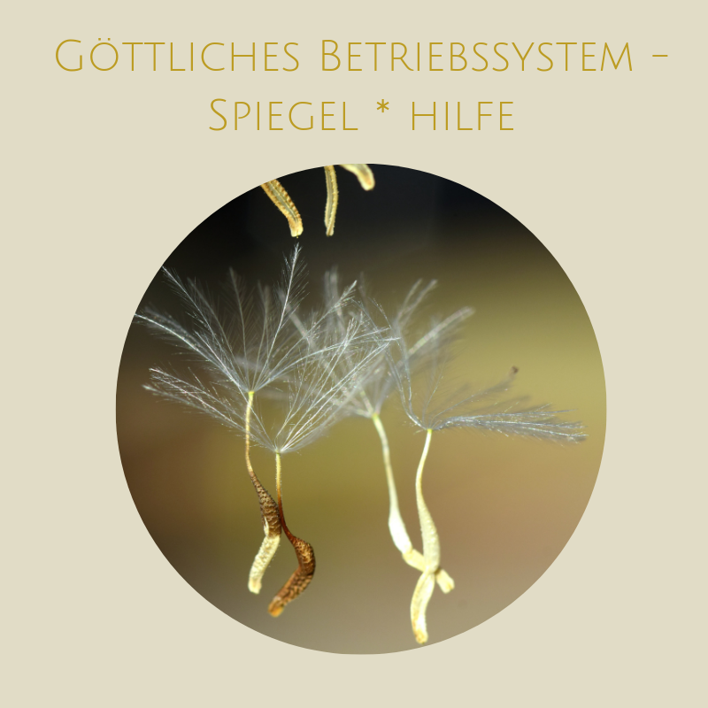 DEIN GÖTTLICHES BETRIEBSSYSTEM - HILFE ANNEHMENGöttliches Betriebssystem - Hilfe annehmen