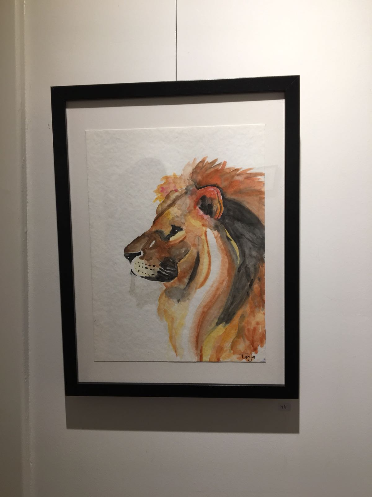 Löwe Profil