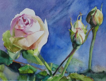Einfach zum Staunen. Aquarell von Gabriele Koenigs (2025). Im Passepartout für Bilderrahmengröße 60 cm x 50 cm. Als Original erhältlich
