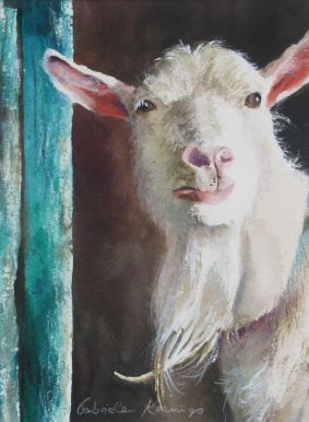 aufmerksam. Aquarell von Gabriele Koenigs (2026). Im Passepartout für Bilderrahmengröße 30 cm x 40 cm. Als Original erhältlich