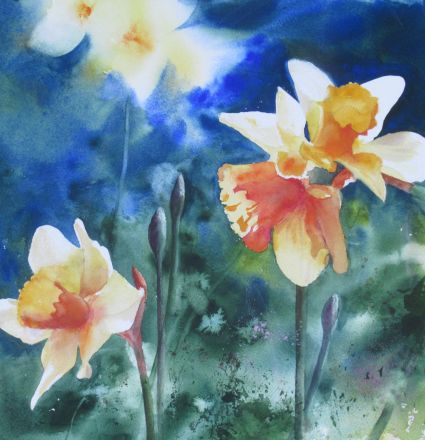 Der Frühling wird eingeläutet. Aquarell von Gabriele Koenigs (2026). Im Passepartout für Bilderrahmengröße 50 cm x 50 cm. Als Original erhältlich