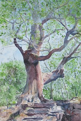 standhaft. Aquarell von Gabriele Koenigs (2020). Als Original und als Kunstkarte erhältlich