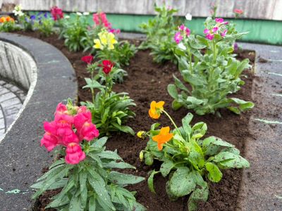 第４回花の植え付け