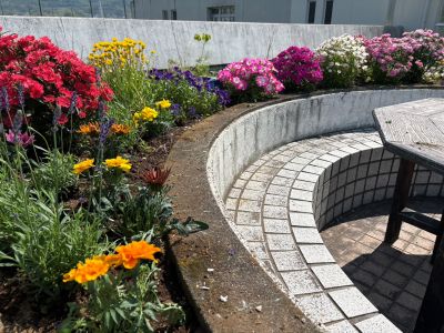 令和８年　第１回　花の植え付け