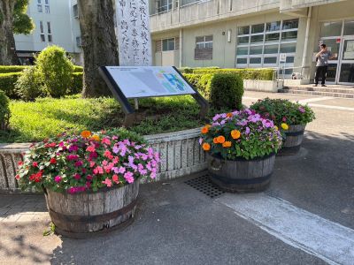 令和7年　7月19日　第2回花の手入れ