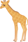 シマウマ