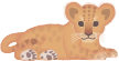 ライオン