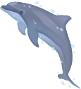 イルカ