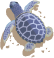 カメ
