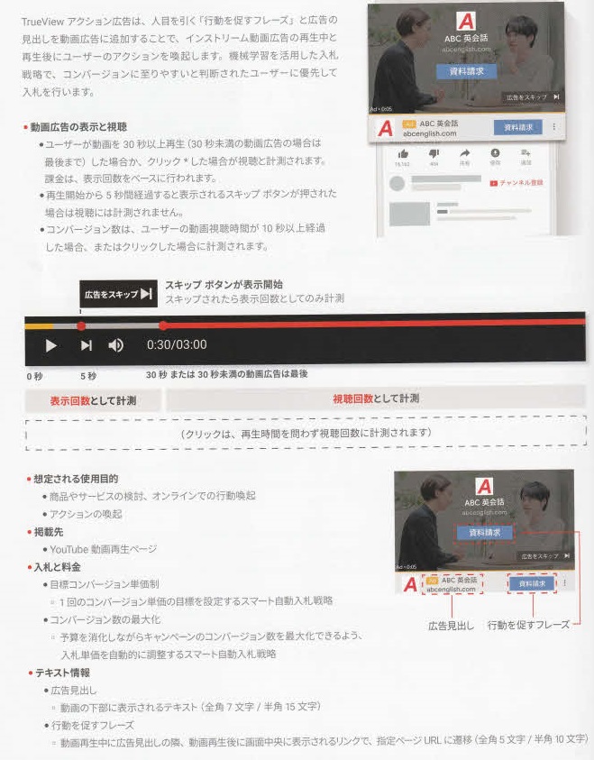 TrueViewアクション広告