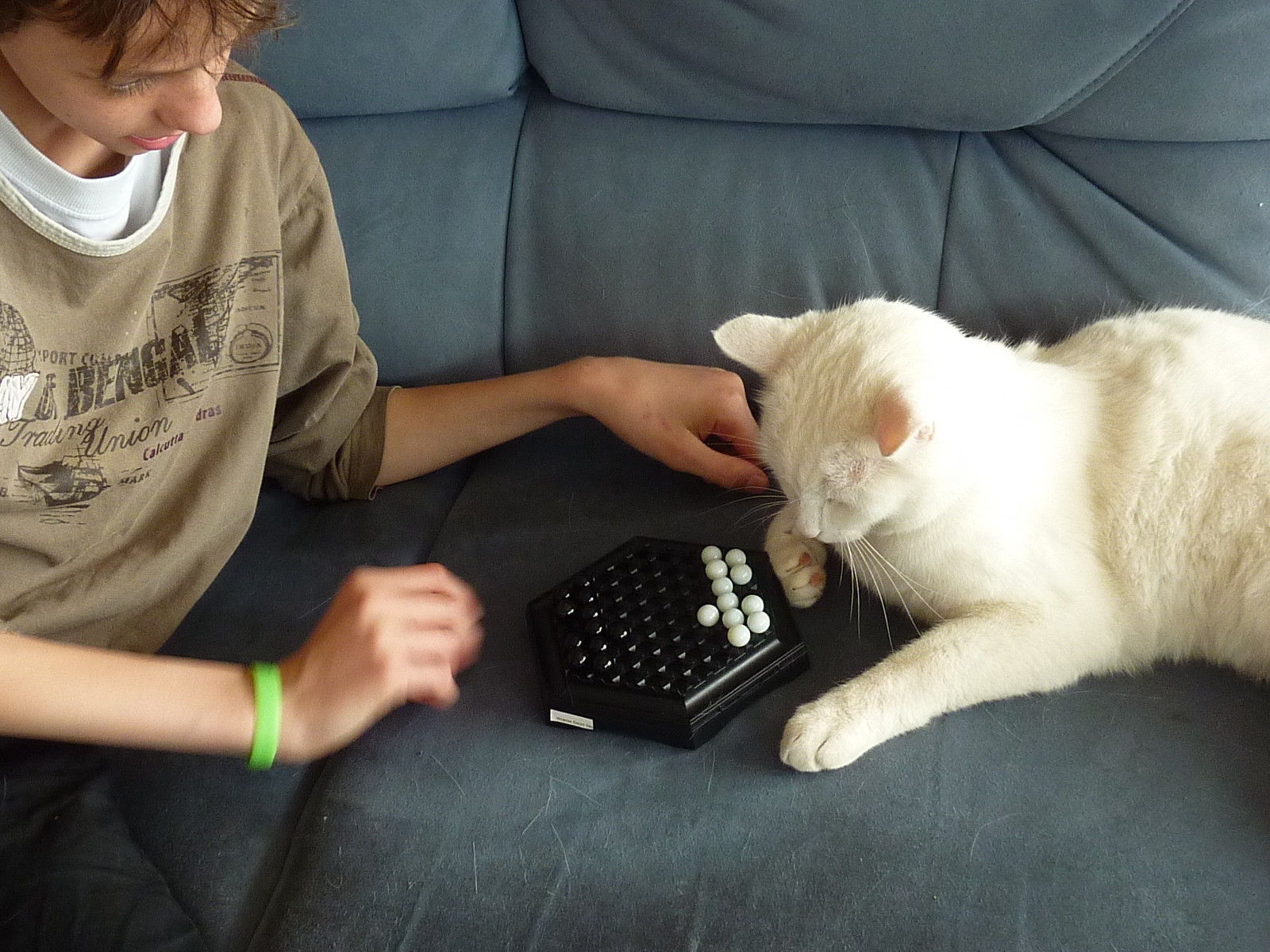 Beim Abalone spielen