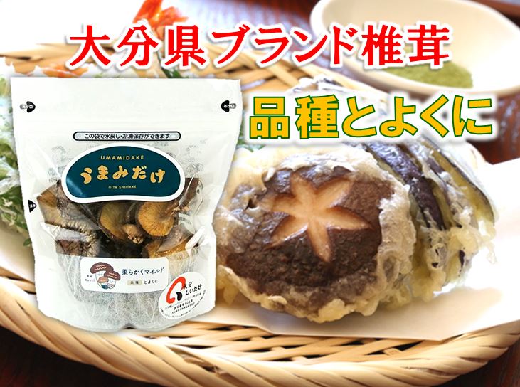 359円 【内祝い】 大分産ブランド椎茸 うまみだけ とよくに 40g×2袋セット トレーサビリティ 王将椎茸 359円 【内祝い】 大分産ブランド椎茸 うまみだけ とよくに 40g×2袋セット トレーサビリティ 王将椎茸