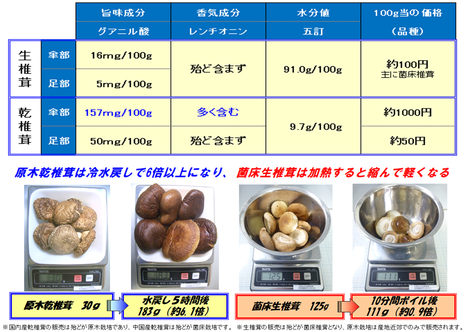 生椎茸と乾椎茸の違い