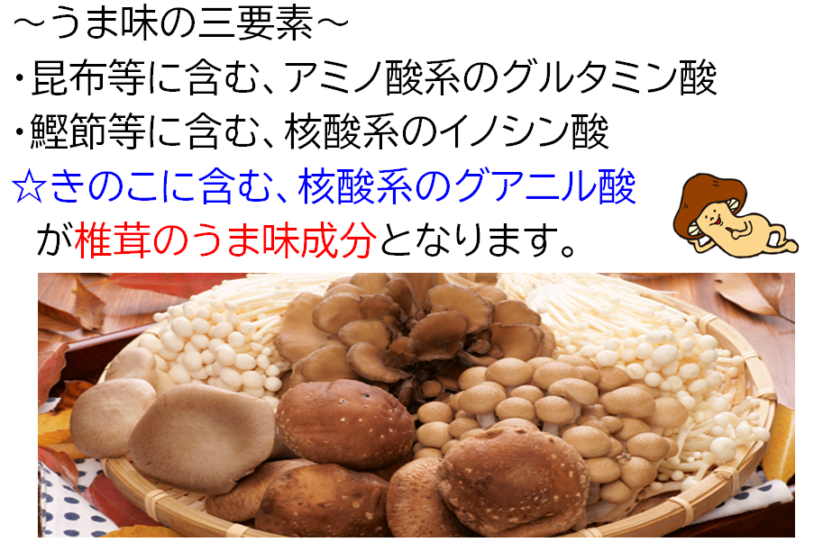 乾椎茸のうま味成分と相乗効果について