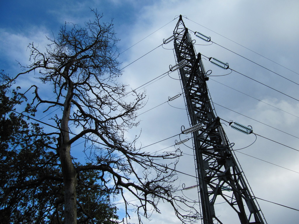 bizarre, un arbre mort près de la ligne à haute tension....