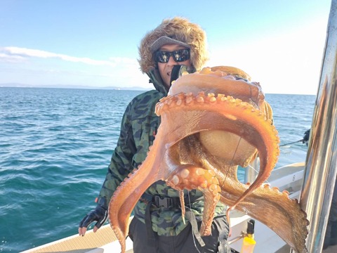 11月22日　マダコ2.9キロ