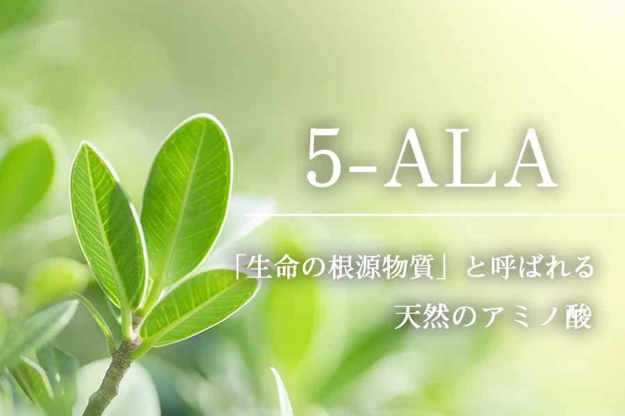 5-ALAショップ　5ALA-Shop　5-ALA　ファイブアラ　5ala　5-ala　5ALA　5アラ　5あら　5-ala とは　5アミノレブリン酸　アミノ酸　