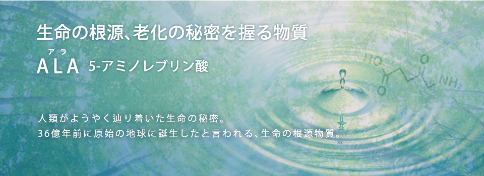 5-ALAショップ　5-ALA　ファイブアラ　5ALA　5アラ　アラ　ala　5アミノレブリン酸　アミノ酸　5alaとは　ファイブ・エーエルエー