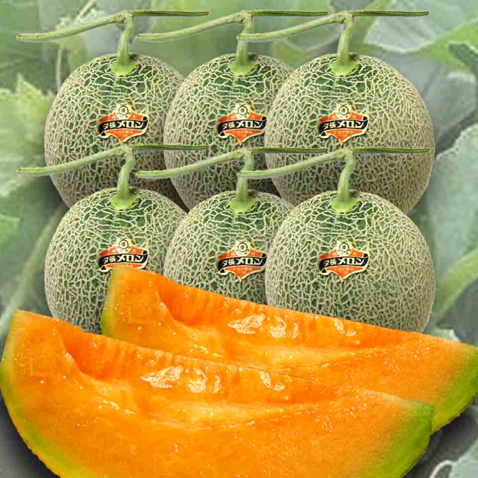 夕張メロン 個選 食品通販王国 北海道がうまい Top Food Kitashoku Club