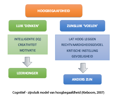 Hoogbegaafd kind test Hoogbegaafd kind test