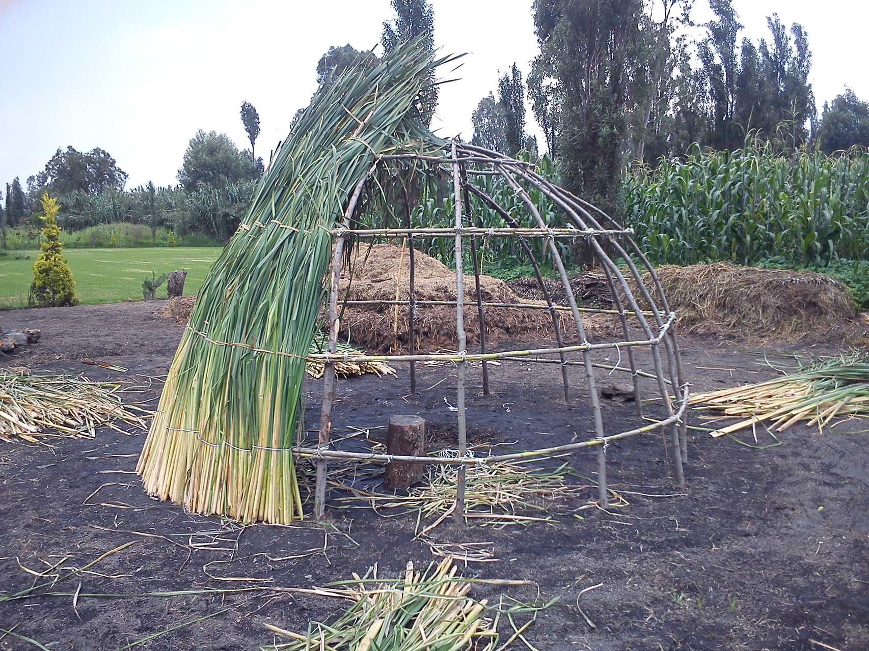 El temazcal autóctono es construido sobre una estructura a base de ramas en forma de domo.