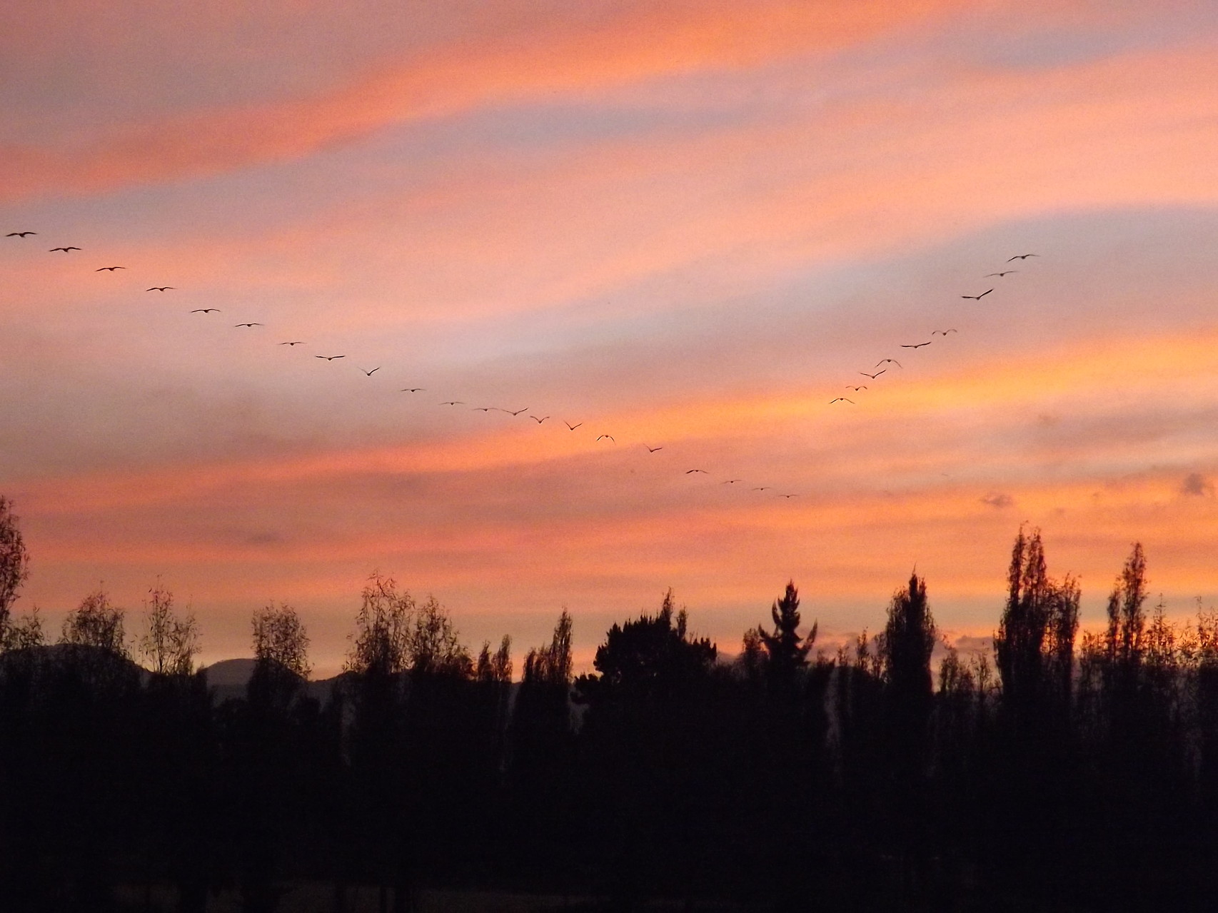 Dependiendo de la época podrás disfrutar de los diferentes matices que el cielo nos ofrece.