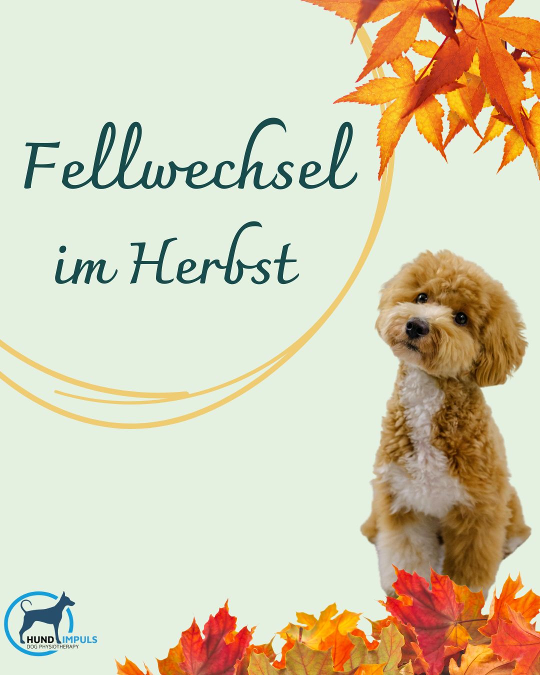 Fellwechsel im Herbst