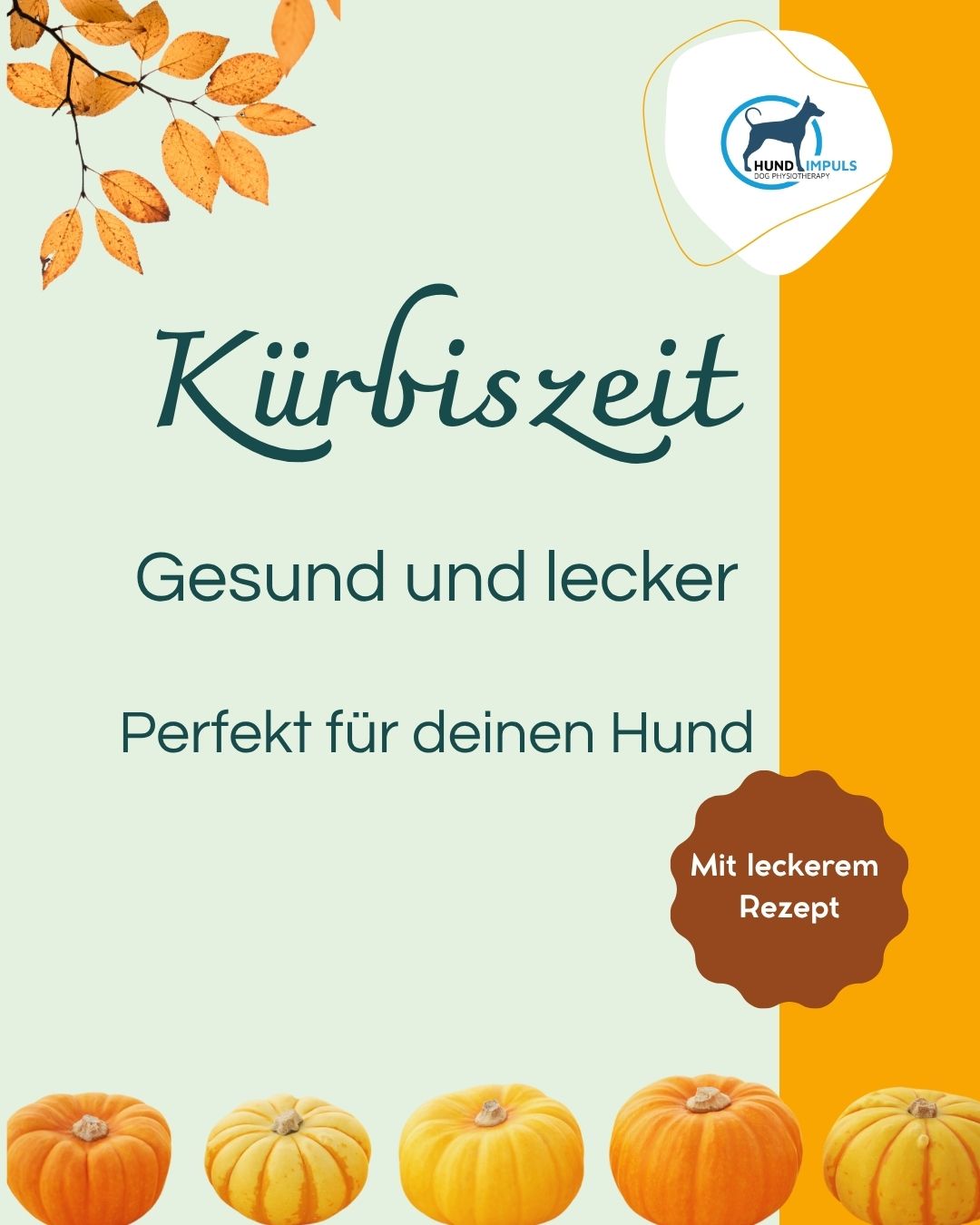 Kürbis für Hunde - Gesundes Superfood & leckere Hundekekse