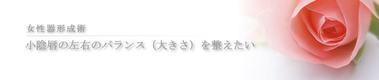 千葉の美容外科ならサンライズ美容外科へ