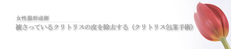 千葉の美容外科ならサンライズ美容外科へ