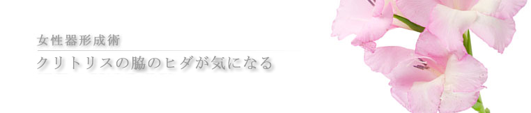 千葉の美容外科ならサンライズ美容外科へ