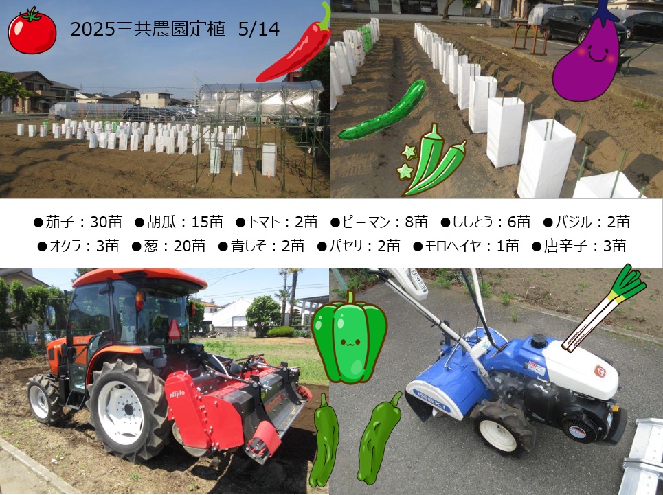 三共農園2025