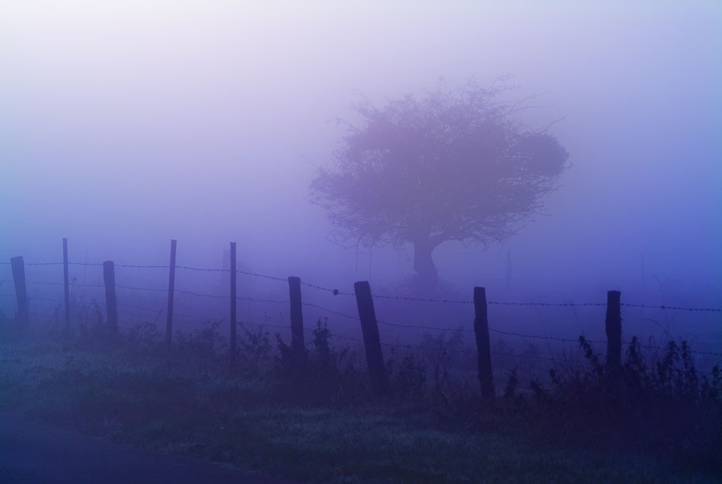 Brouillard au petit matin Paysage de Picardie