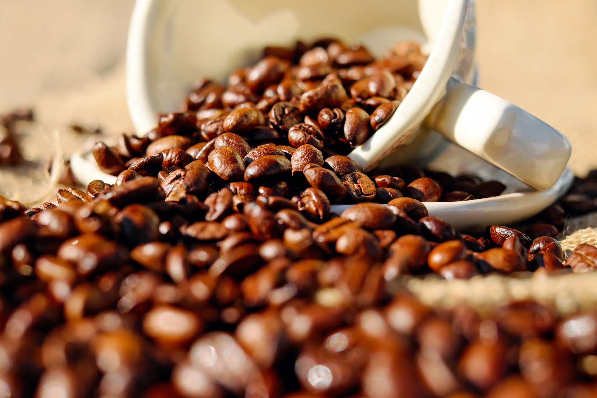 自家焙煎coffeeオトメザ