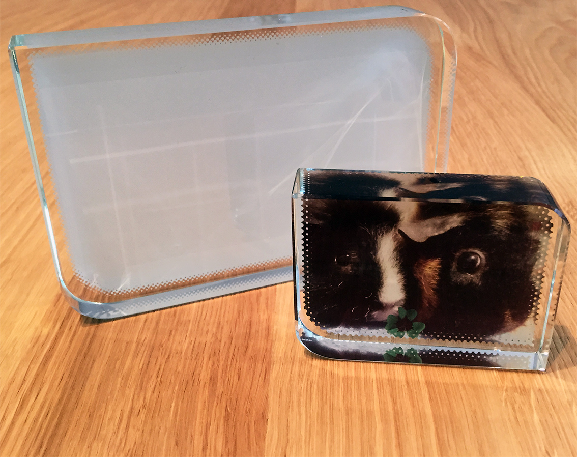 Glas Foto Kristall klein & groß mit Foto Meerschweinchen