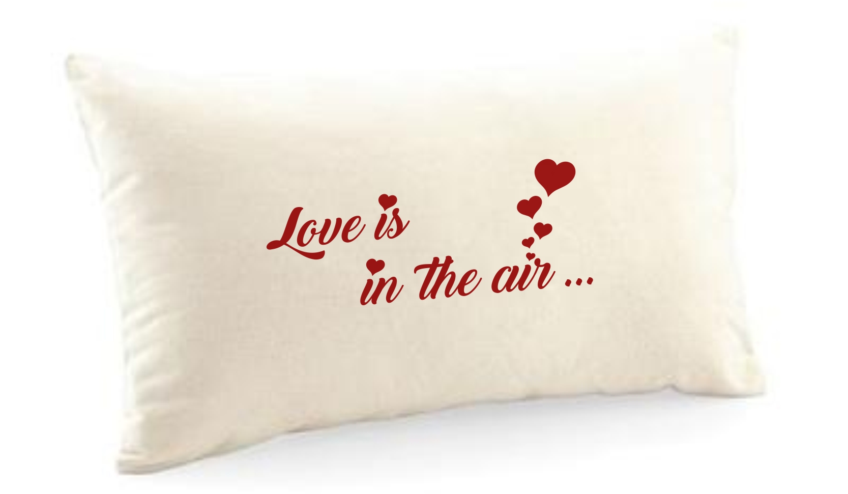 Canvas Kissen 30x50cm mit Transfer-Druck "Love is in the air"