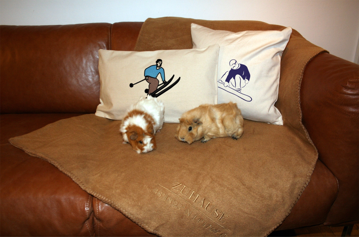Canvas Kissen mit Bestickung "Skifahrer" & "Snowboarder"