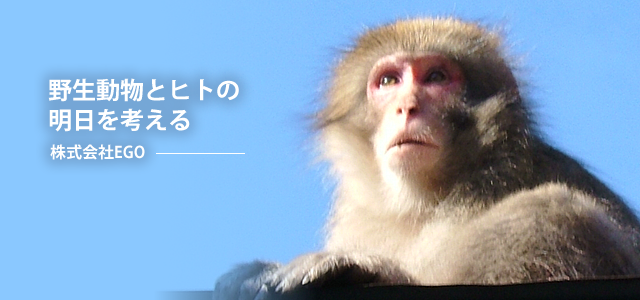 野生動物とヒトの明日を考える・株式会社EGO