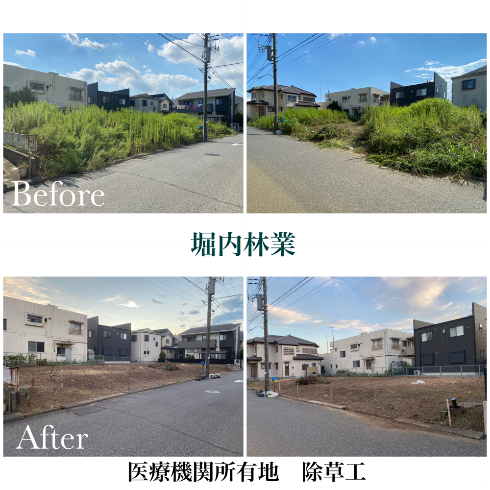 千葉県流山市 医療機関所有地 除草工及び伐採工の例です。