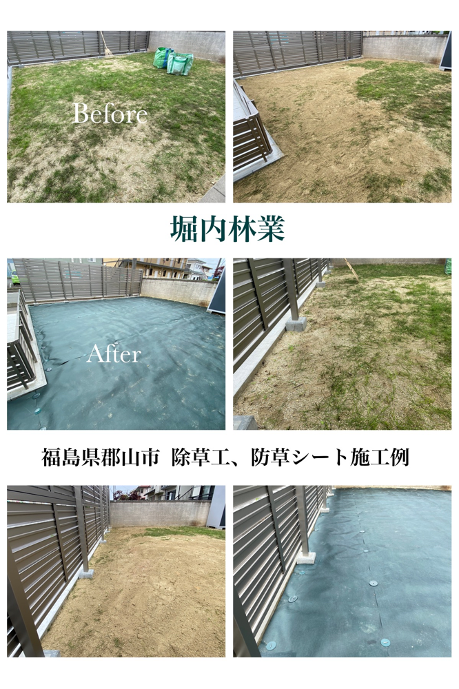 福島県郡山市  顧客邸での除草、整地、防草シート施工例です。 他、剪定を行なっております。