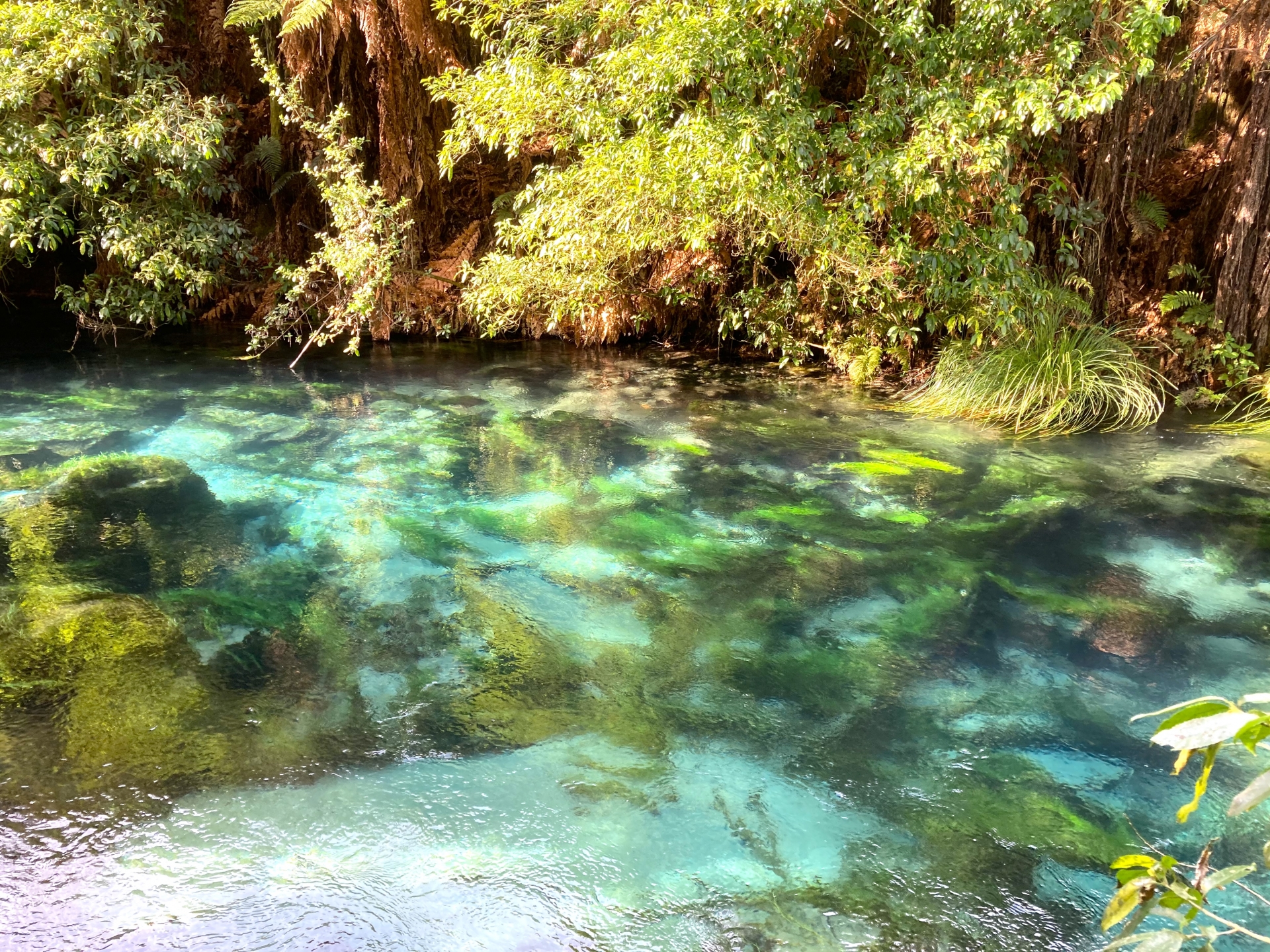 無料アチューメント - とわのいずみ