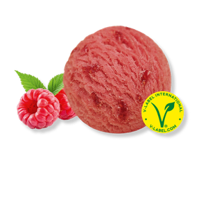 Carte d'Or Sorbet Himbeer vegan | 2 x 2,4 l