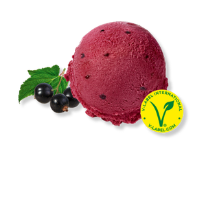 Carte d'Or Sorbet Schwarze Johannisbeere vegan | 2 x 2,4 l