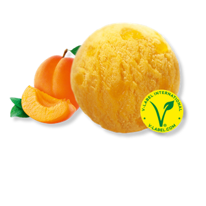 Carte d'Or Sorbet Marille vegan | 2 x 2,4 l