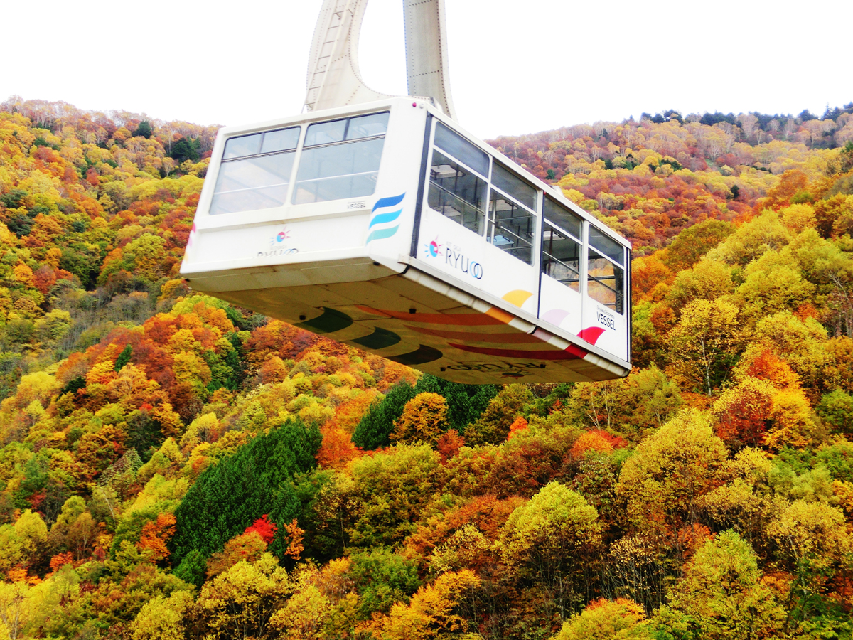 紅葉の竜王ソラテラス