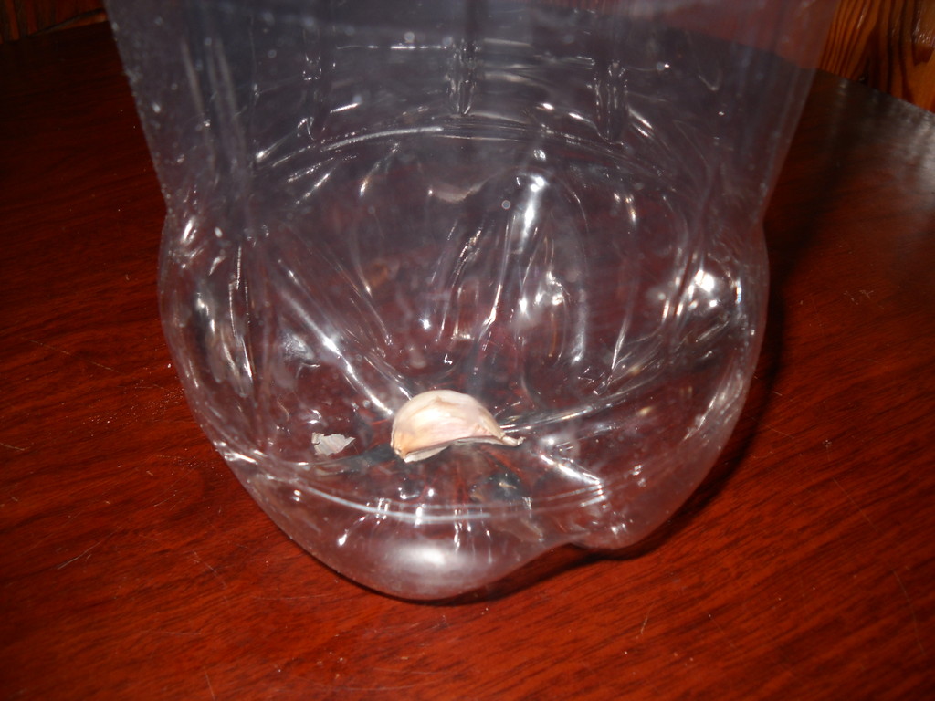 ALMACENAMIENTO EN BOTELLA - sobrevivenciasuds jimdo page!