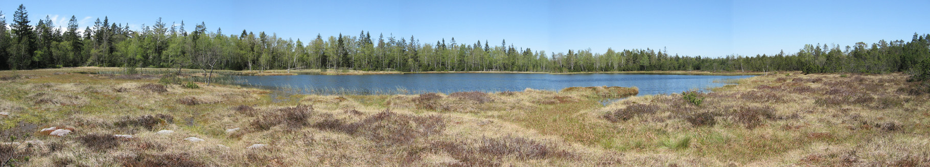 Panorama Wildseemoor