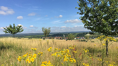 Das Sommerhalbjahr kam mit einem schier endlosen Reigen von sonnigen und warmen Tagen daher · Foto→ Joachim Pe